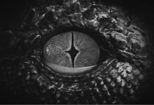 Что пьют и как опохмеляются штирлицы в новогодние праздники