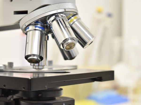 Британский журнал опубликовал список учёных года: один из них не человек