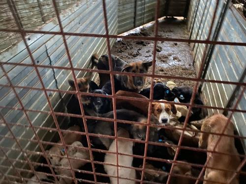 Деньги не пахнут, но иногда мерзко воняют