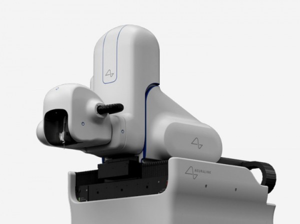 «Мозг так не работает»: нейрофизиолог Балабан развенчал «сенсацию» Маска о вживленных электродах