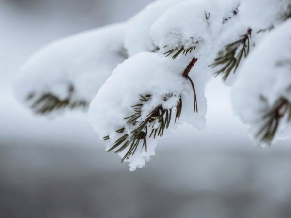 Ученые бьют тревогу: выяснилось, к чему привело изменение климата на планете