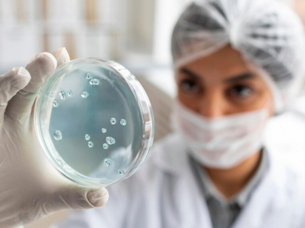 Названа фатальная опасность арктических зомби-вирусов из сибирской вечной мерзлоты