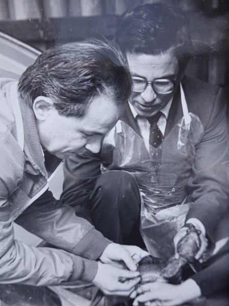 Академик РАН Юрий Наточин раскрыл тайны человеческой почки