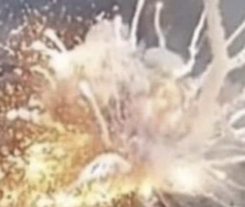 В Харькове накрыли огнём поляков и англоязычных наёмников В Харькове накрыли огнём поляков и англоязычных наёмников