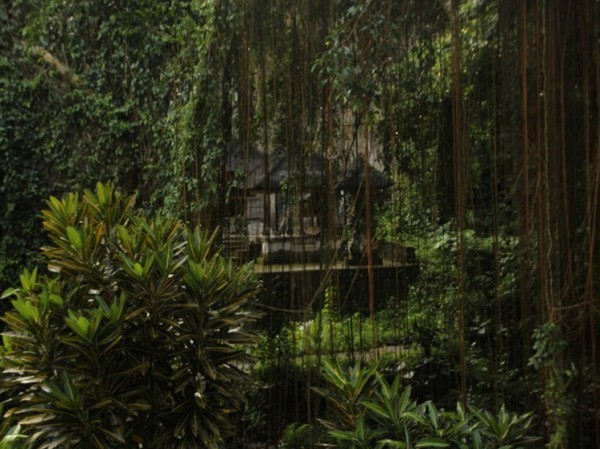 На картах загадочной Амазонии выявили останки обширных древних городов