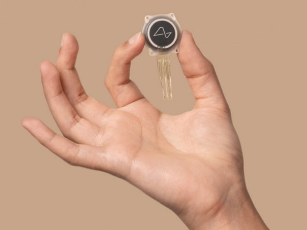 «Мозг так не работает»: нейрофизиолог Балабан развенчал «сенсацию» Маска о вживленных электродах