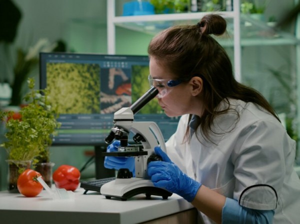 Нобелевские лауреаты резко вступились за ГМО: «Антинаучное нагнетание страха»