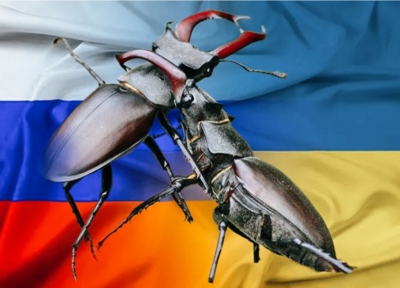 России нужно перезапустить мозги. Немедленно