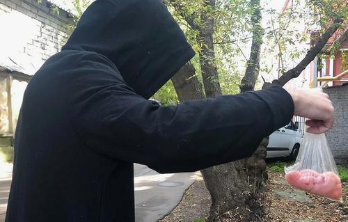 В Астрахани, после скандала с незаконным задержанием зооактивистами пожилого мужчины обнаружили массовую гибель собак