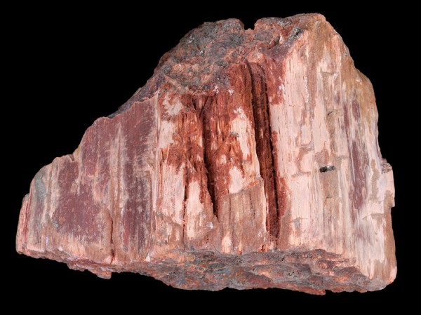 На дне Северного моря нашли удивительный минерал: поможет прокормить мир