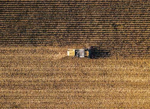 Фидан и Блинкен обсудили зерновую сделку