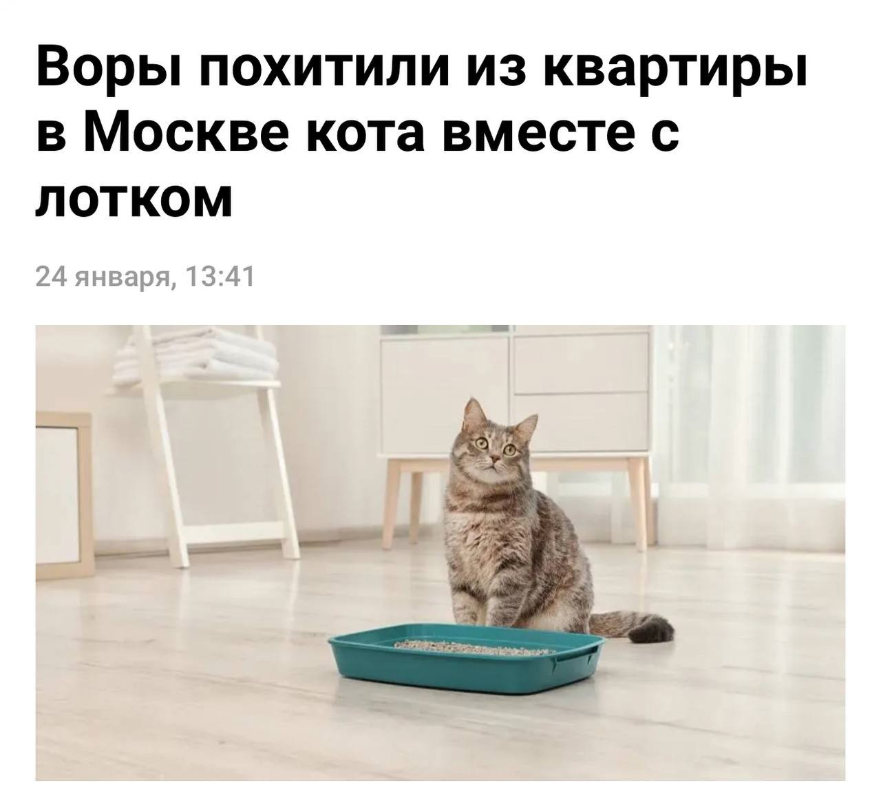 Личностные качества человека. Проблема реализации прав и свобод человека и гражданина в рф. Примеры ограничения свободы человека. Социальные роли человека. Какие могут быть интересы.