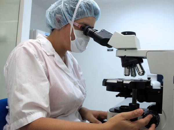 Развитие человеческого эмбриона связали с вирусной инфекцией возрастом 500 миллионов лет