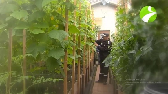 Переизбрание Путина: от Федерации к Империи