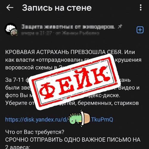 В Астрахани распространяют фейки про массовые убийства собак В Астрахани распространяют фейки про массовые убийства собак