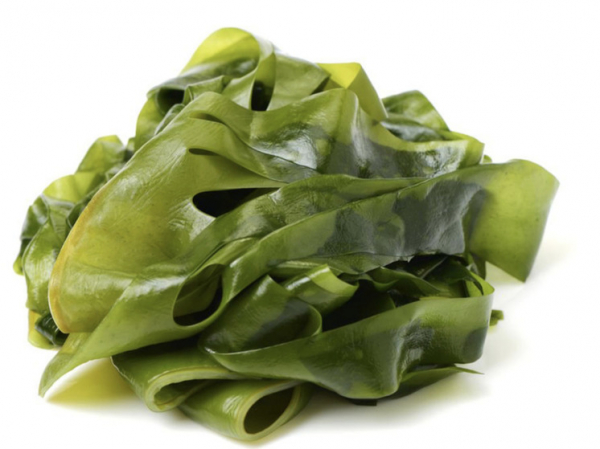 Обнаружен новый источник пищи на случай «ядерной зимы» Третьей мировой войны