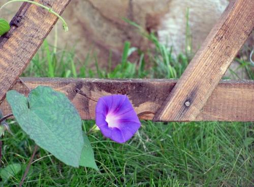 Дышать пока можно — до подобного запрета депутаты пока не додумались