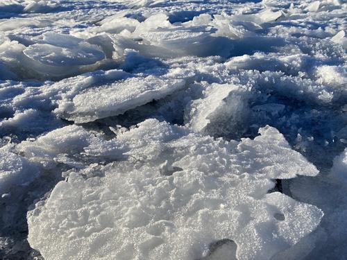 На «Острове фортов» обсудят вопросы развития Арктики На «Острове фортов» обсудят вопросы развития Арктики