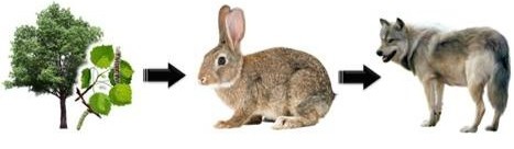 Россия и враги: нет победы без агрессии Россия и враги: нет победы без агрессии