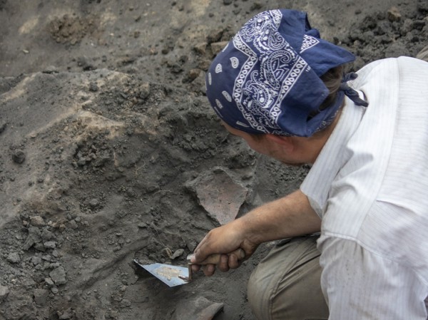 Археологов поразила внутренность найденного куриного яйца древнеримских времен