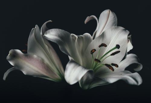 Ушел из жизни народный артист России Эрнст Романов Ушел из жизни народный артист России Эрнст Романов