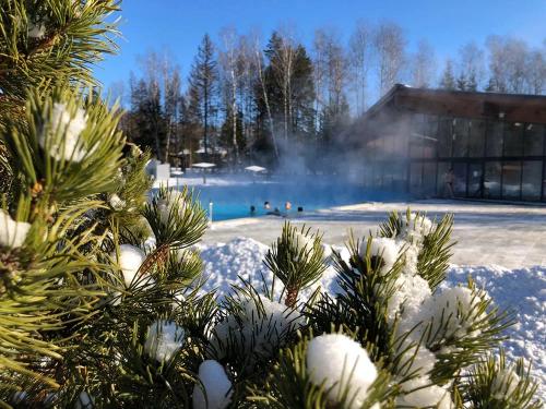 В подмосковном отеле LES Art Resort к 8 марта подготовили особую программу В подмосковном отеле LES Art Resort к 8 марта подготовили особую программу