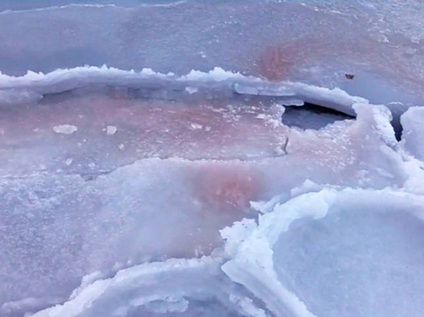Российские ученые обнаружили на побережье Японского моря красный лед