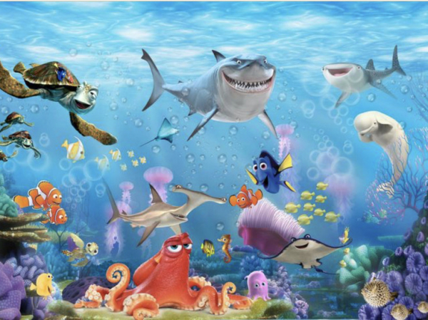 Выявлена удивительная способность рыбок из «В поисках Немо» считать полоски