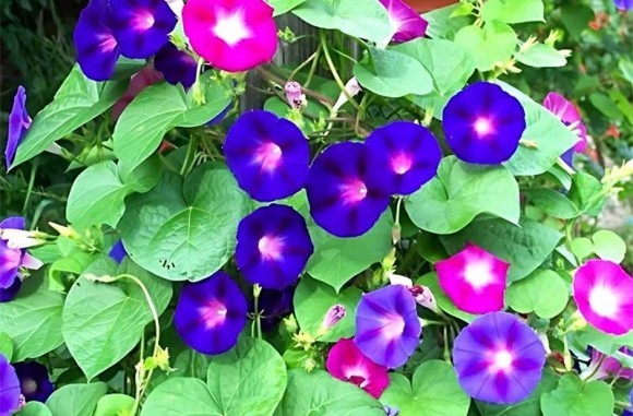 Дышать пока можно — до подобного запрета депутаты пока не додумались