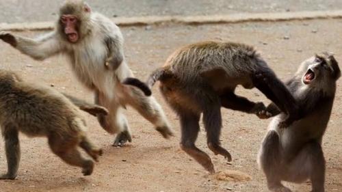 Санкт-Петербург прославился очередной массовой дракой подростков: в Питере бить? Санкт-Петербург прославился очередной массовой дракой подростков: в Питере бить?