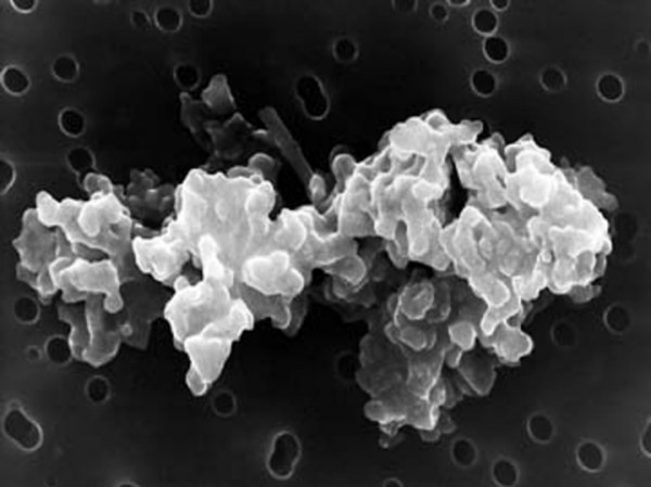 Российские ученые создали установку, чтобы доказать возможность зарождения жизни в космосе