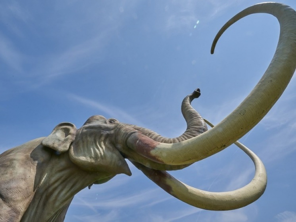 Вымерших мамонтов ученые пообещали воскресить уже к 2028 году