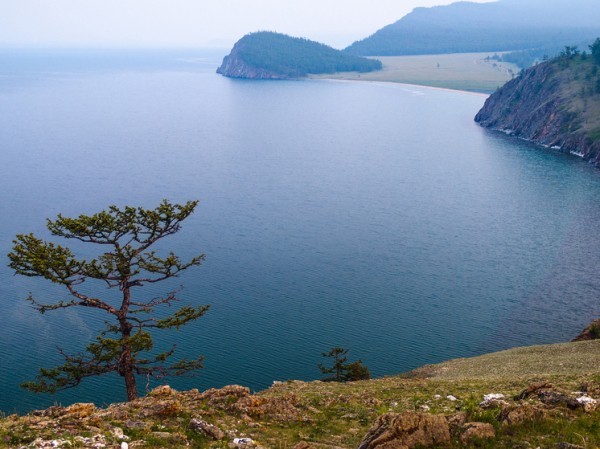 В водах Байкала растут грибы
