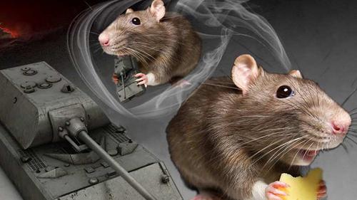 Мышиная диверсия: как грызуны выводят из строя западную военную технику Мышиная диверсия: как грызуны выводят из строя западную военную технику