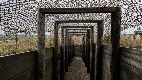 Линдси Грэм - Зеленскому: кладбищ нет, но вы держитесь