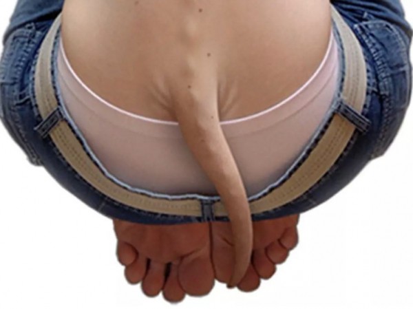 Ученые разгадали тайну потери человечеством хвостов 25 миллионов лет назад