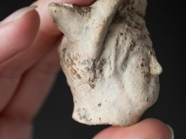 Крайне редкая находка археологов пролила свет на особенности религии древнего Рима