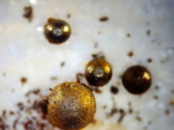 Зафиксированный Гарвардом инопланетный сигнал вызвал проезжавший мимо грузовик