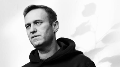 Откровение Фейгина* о Навальном**: этот народ не стоил его усилий