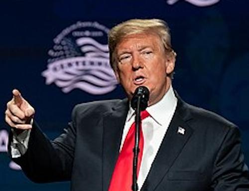 Бизон по имени Трамп