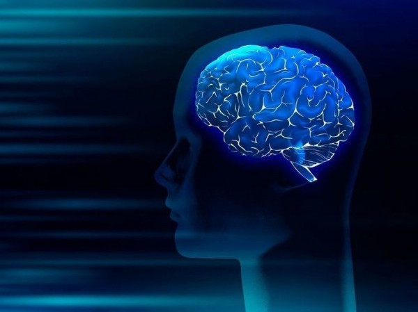 Находка сохранившегося  человеческого мозга возрастом 12 тысяч лет поразила ученых