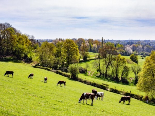 На освоенных человеком землях животные меняются на глазах