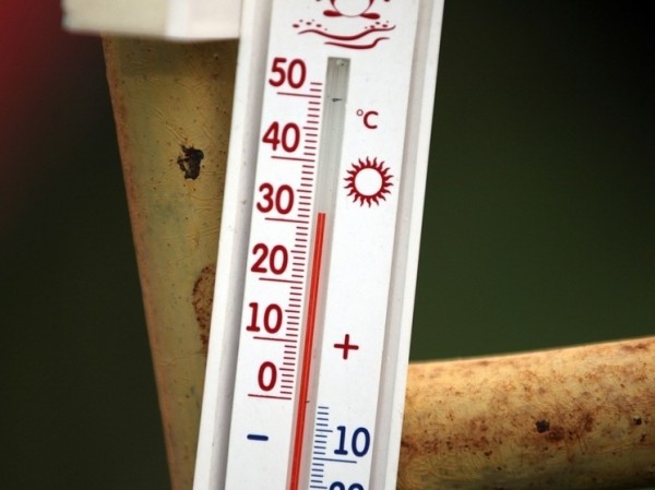 Прошедший февраль оказался самым теплым в истории: ученые встревожены