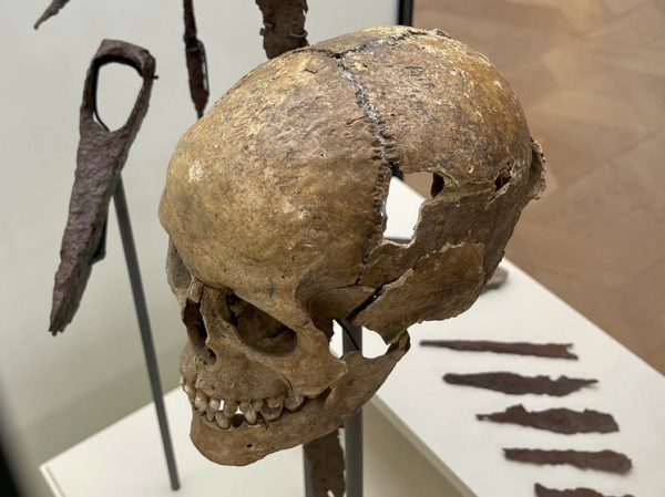 Интригующие модификации черепа обнаружены у женщин-викингов