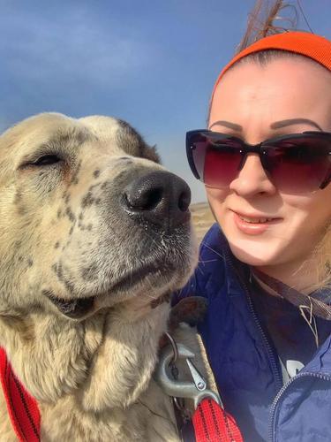 Веселина-кинолог: на фронте кошки и собаки — первые наши друзья и помощники Веселина-кинолог: на фронте кошки и собаки — первые наши друзья и помощники