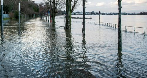 Ущерб от паводка в Оренбургской области составит примерно 21 миллиард рублей Ущерб от паводка в Оренбургской области составит примерно 21 миллиард рублей