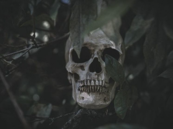 Ошеломленных археологов поразили сообщения о найденных в пещерах гигантских скелетах