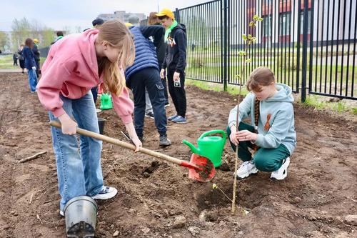 В школах Московской области завершился День добрых дел В школах Московской области завершился День добрых дел