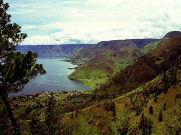 Новая теория эволюции: причиной миграции стала «вулканическая зима»