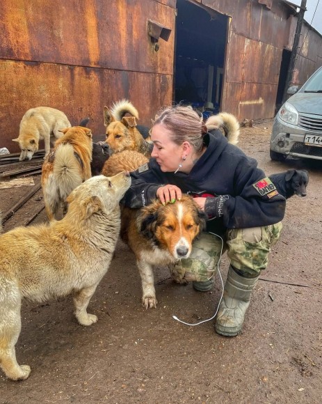 Веселина-кинолог: на фронте кошки и собаки — первые наши друзья и помощники Веселина-кинолог: на фронте кошки и собаки — первые наши друзья и помощники